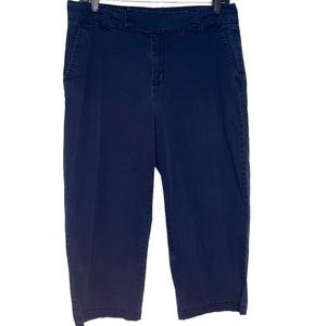 Women’s Navy capris size 10 Brand is Mountain lake. Great condition.